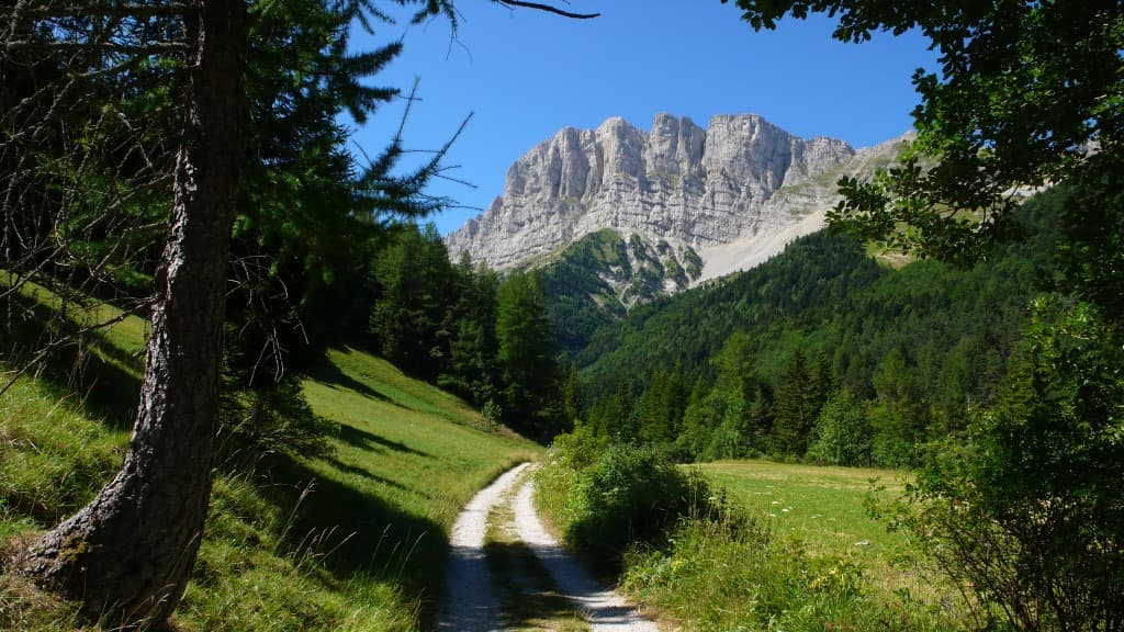 Le massif du grand Veymont
