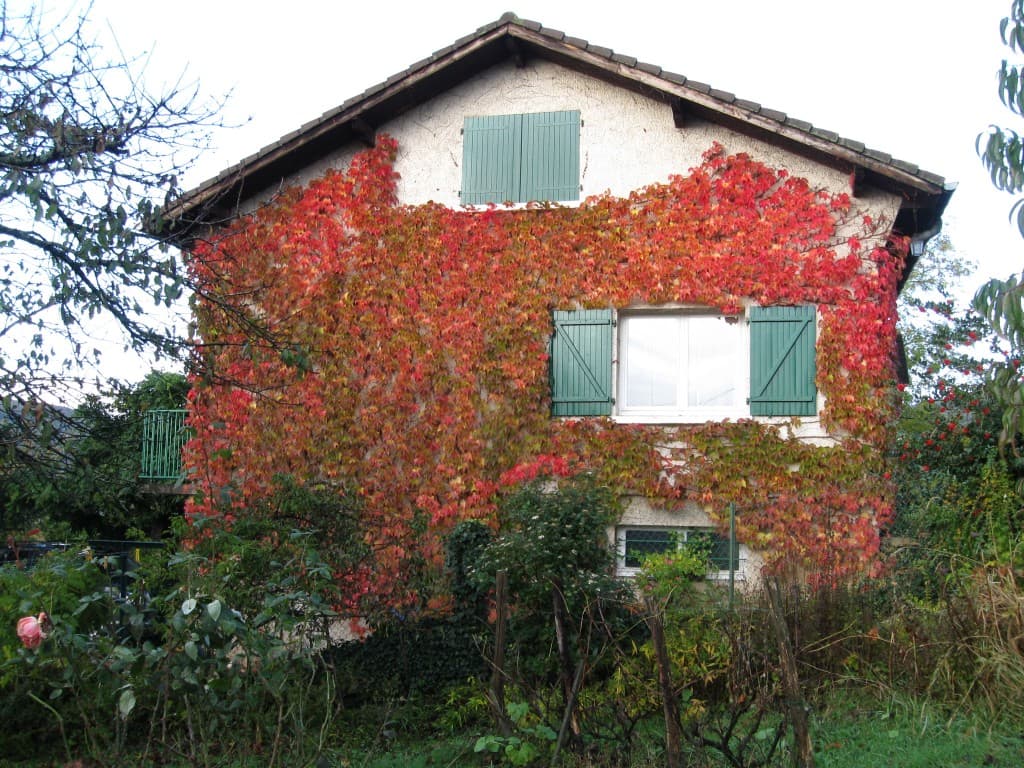 Parure d'automne