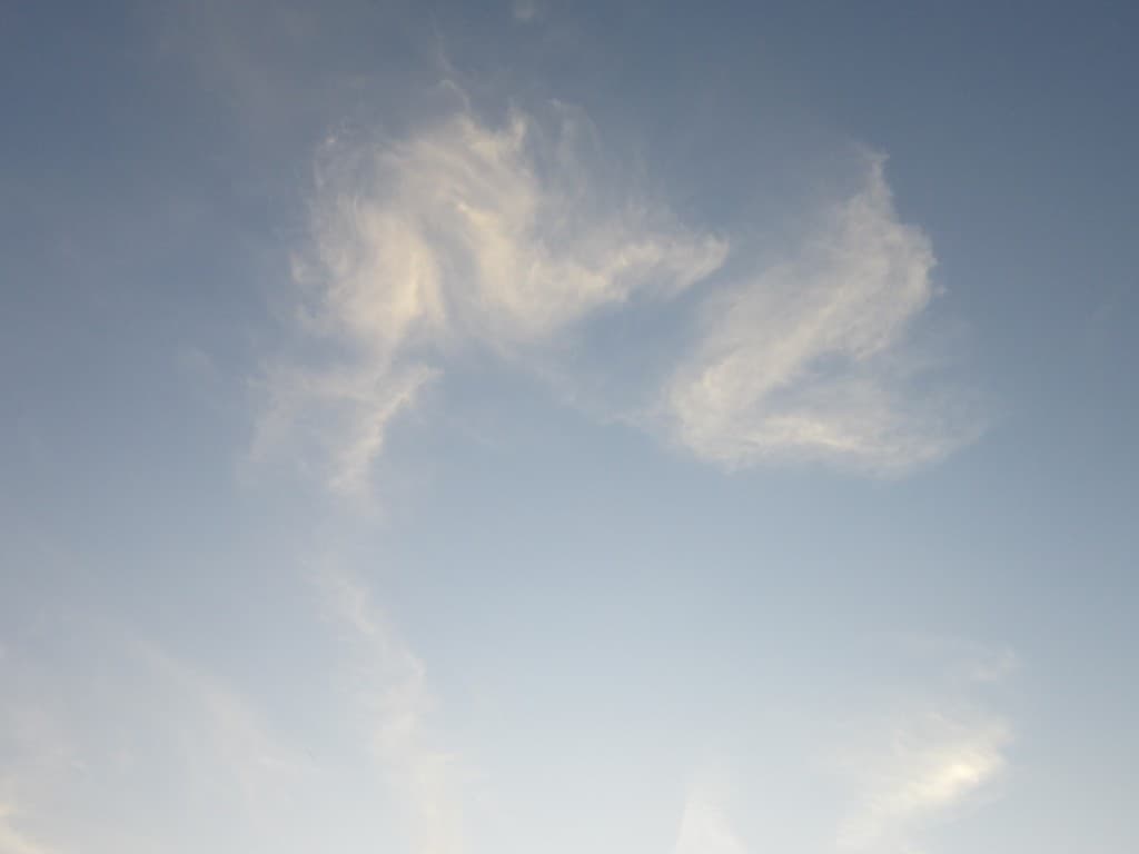 Un dragon dans le ciel
