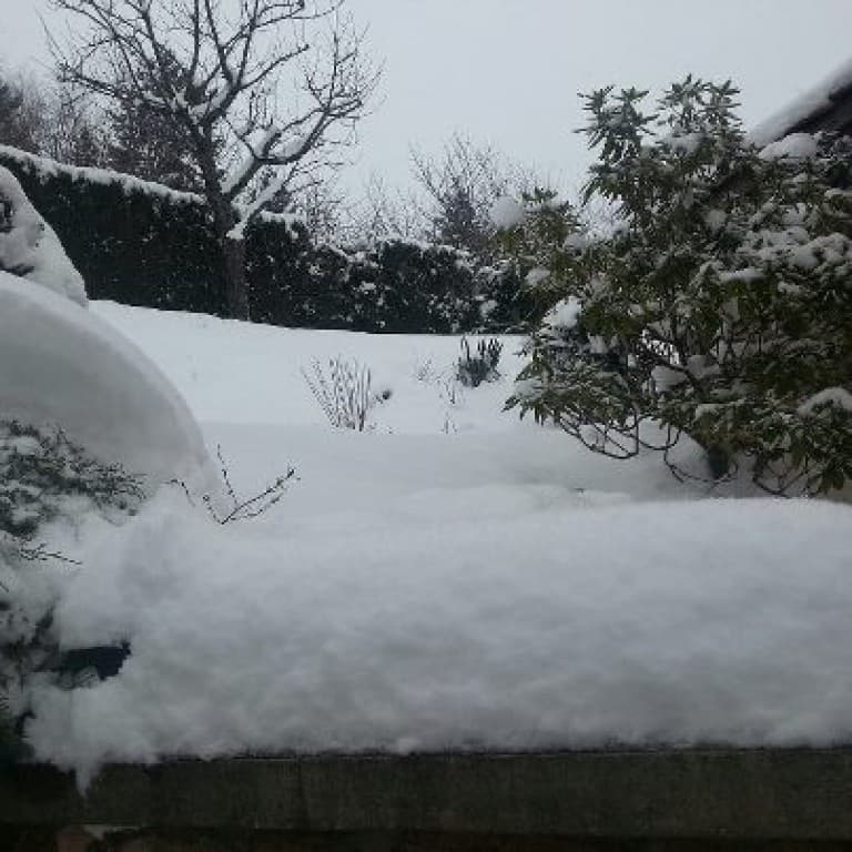 30 cm de neige