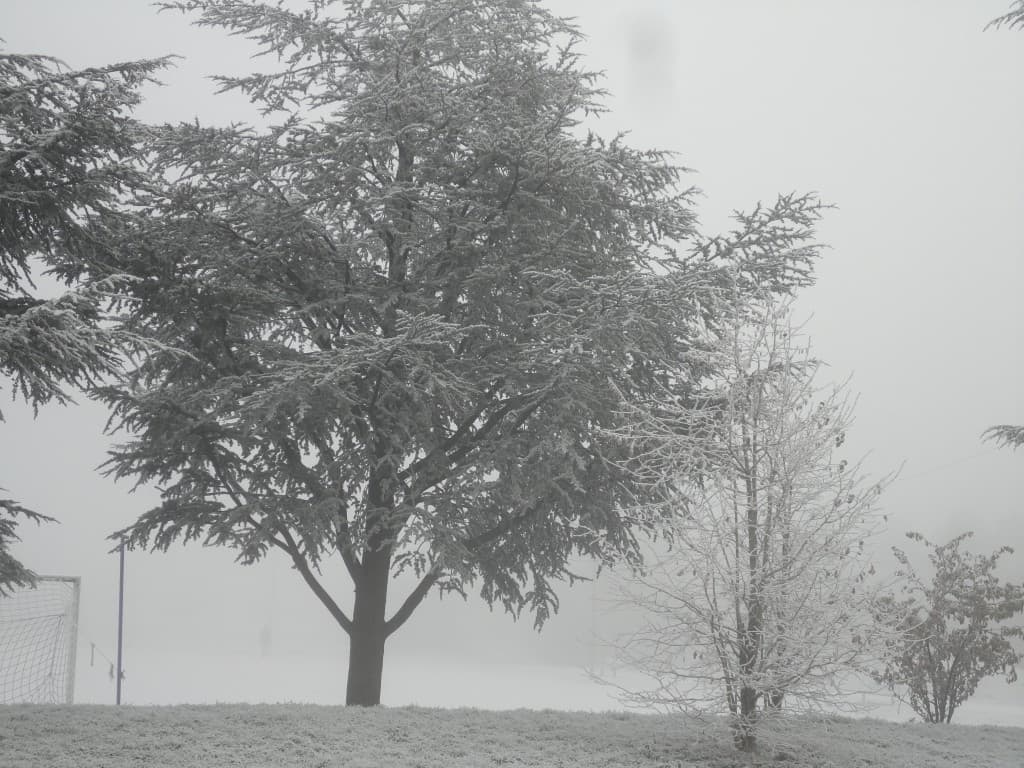 Givre sur Chassieu