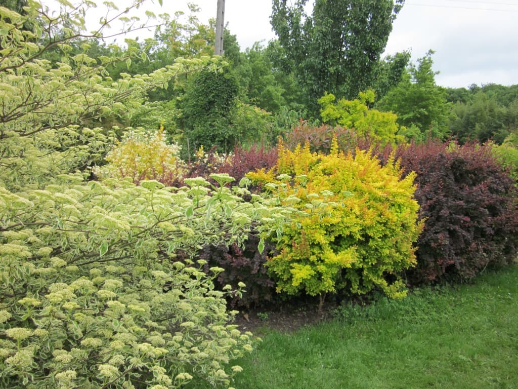 Que la nature est belle !