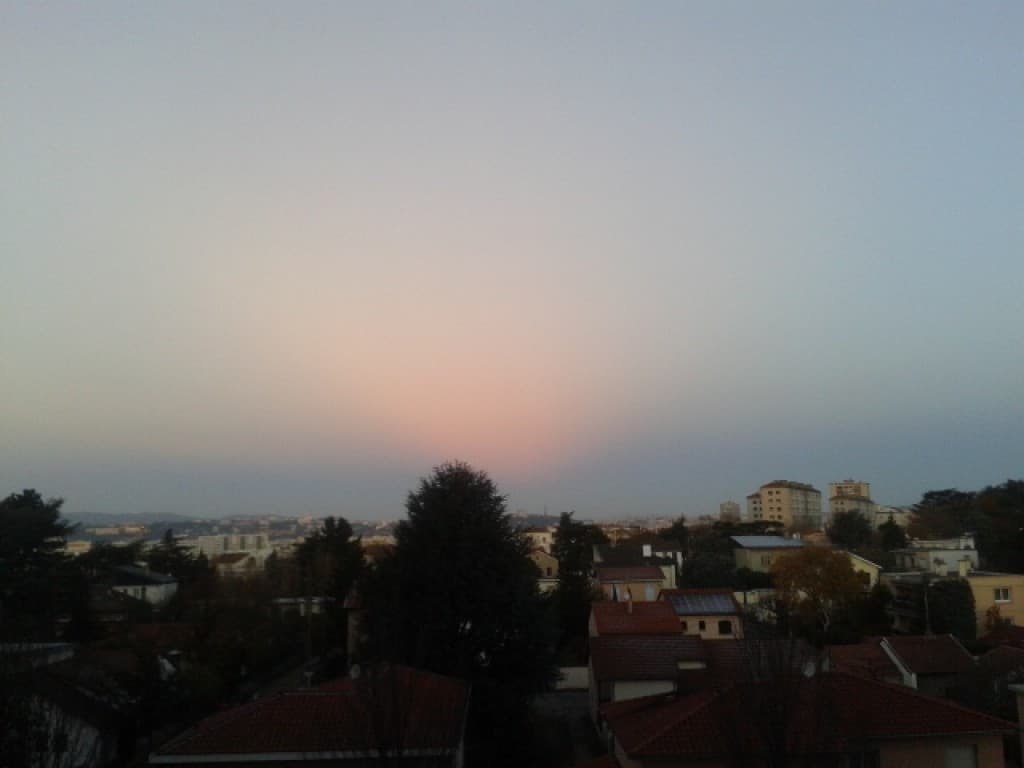 Rosée du matin
