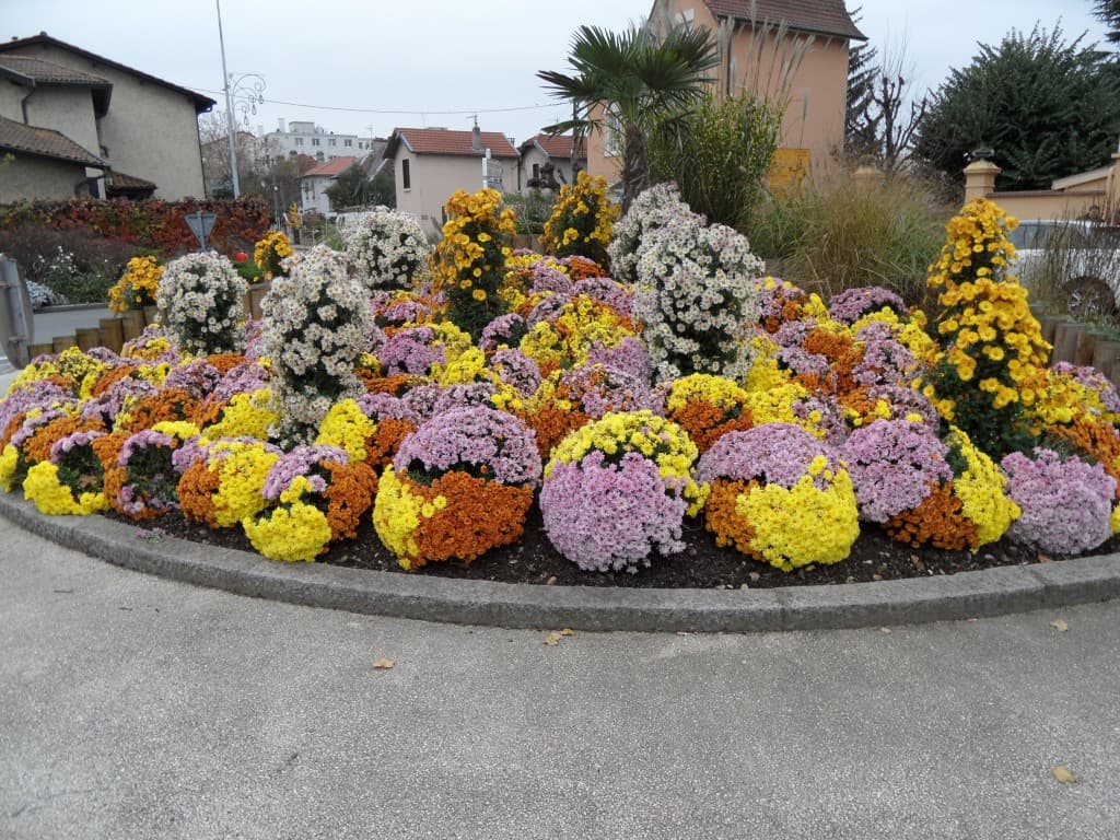 un rond-point