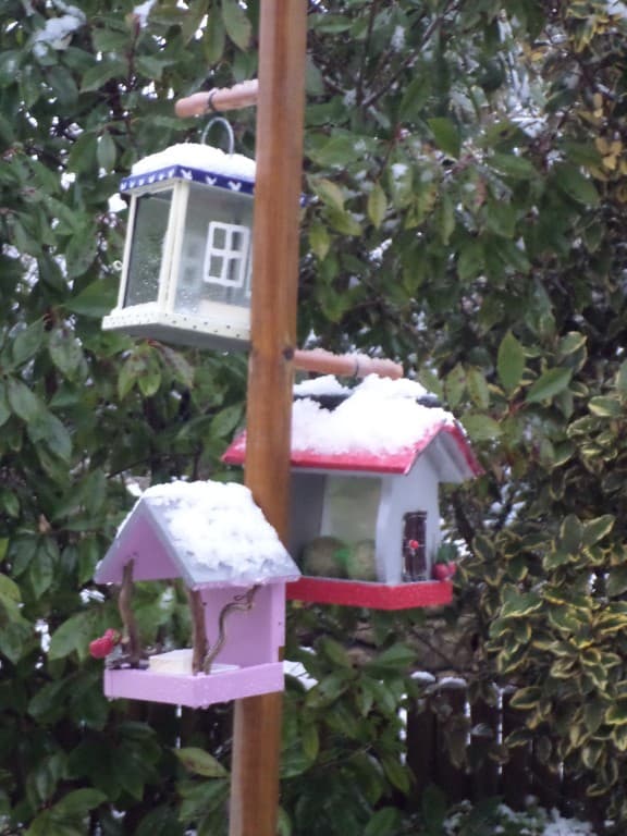 1ère Neige 2014 !!!