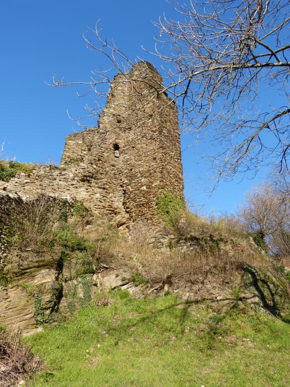 chateau St gérald  Givors