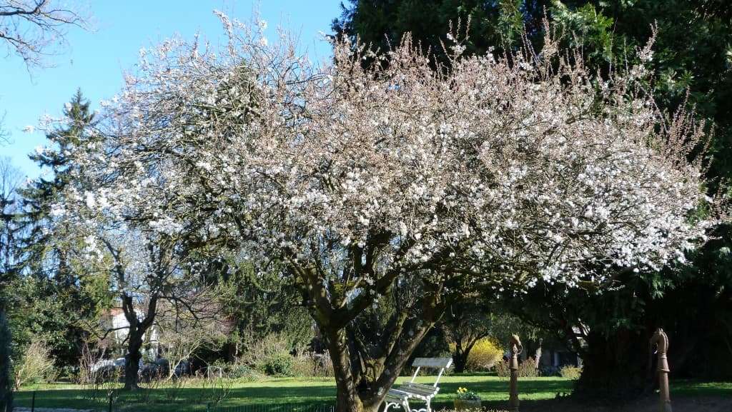 Le printemps est arrivé, la belle saison