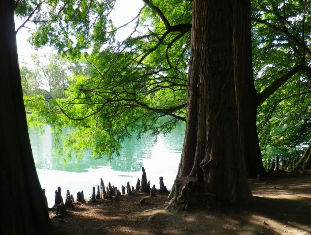 Les dents du Lac