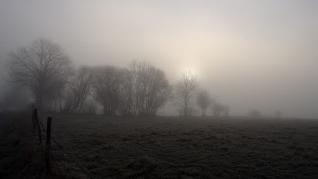 Brouillard cantalou