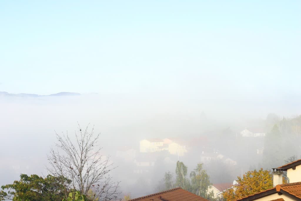 brouillard matinal