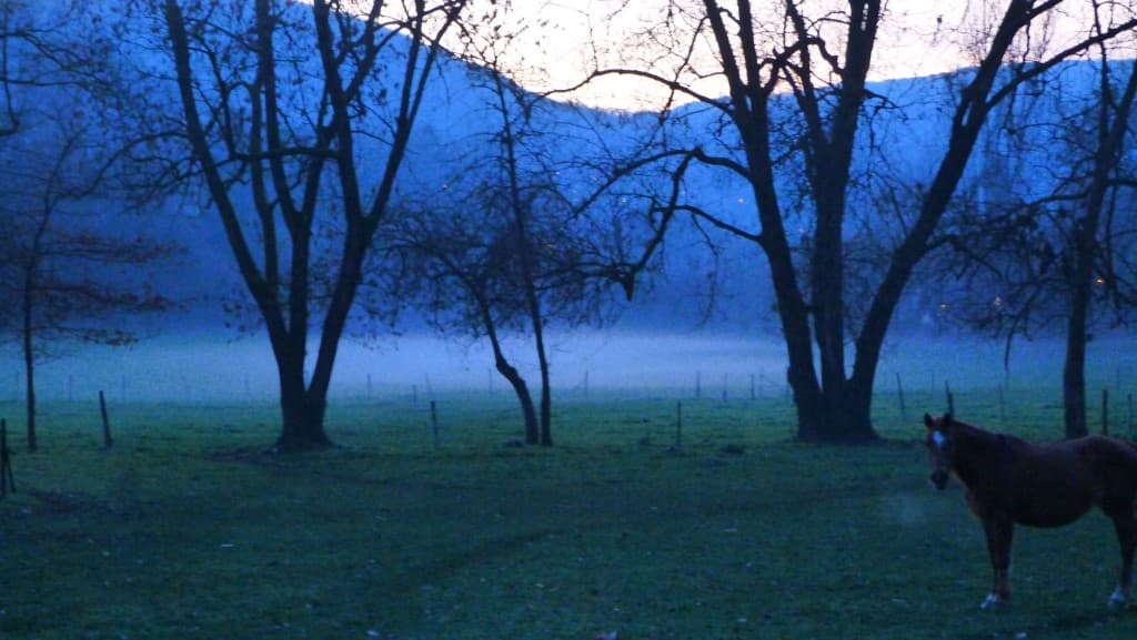 Crépuscule aux Molliéres