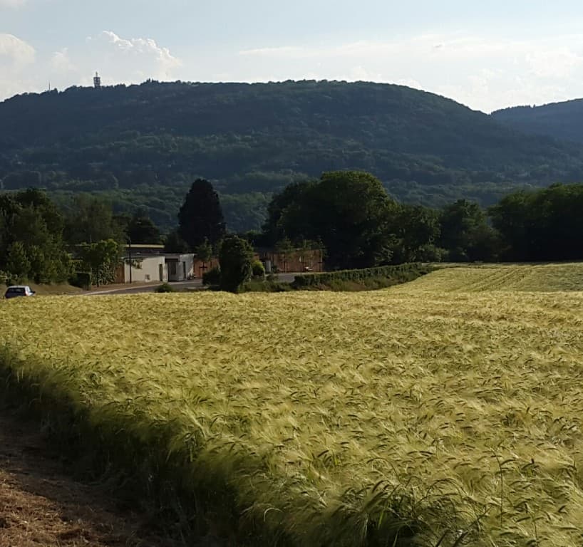 Les Monts d'Or vus du chemin des épinettes