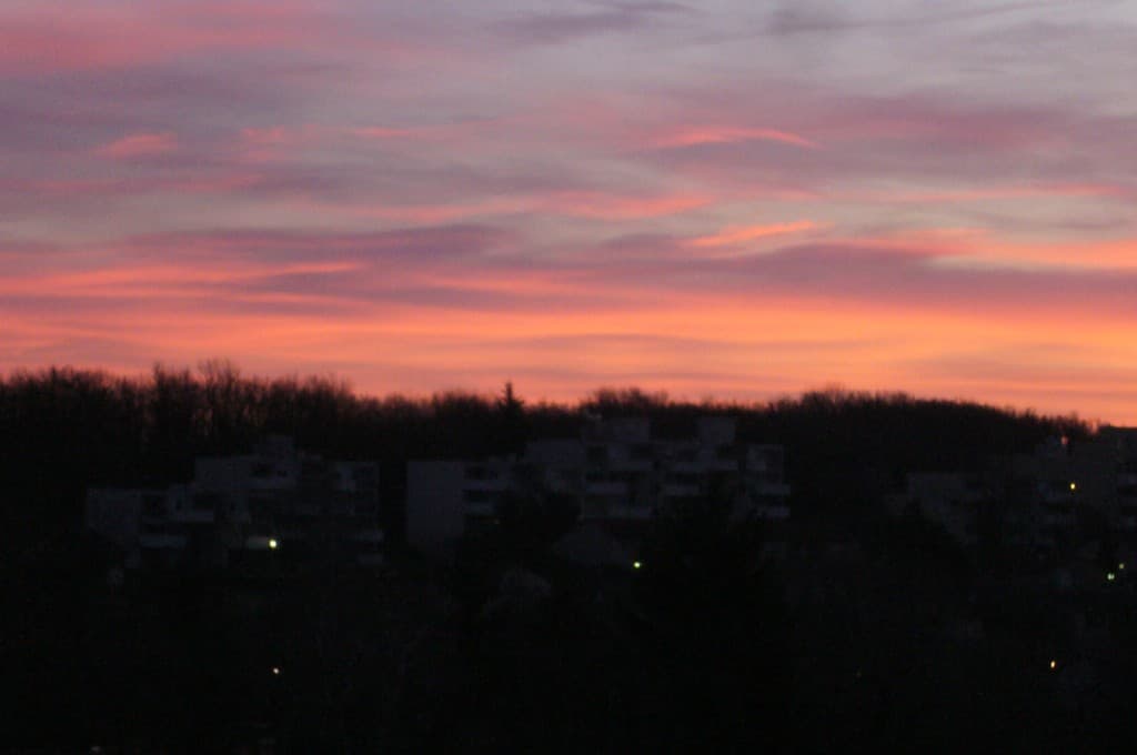 aurore 