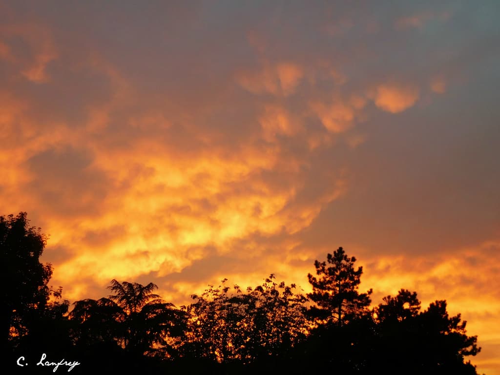 Ciel de feu 