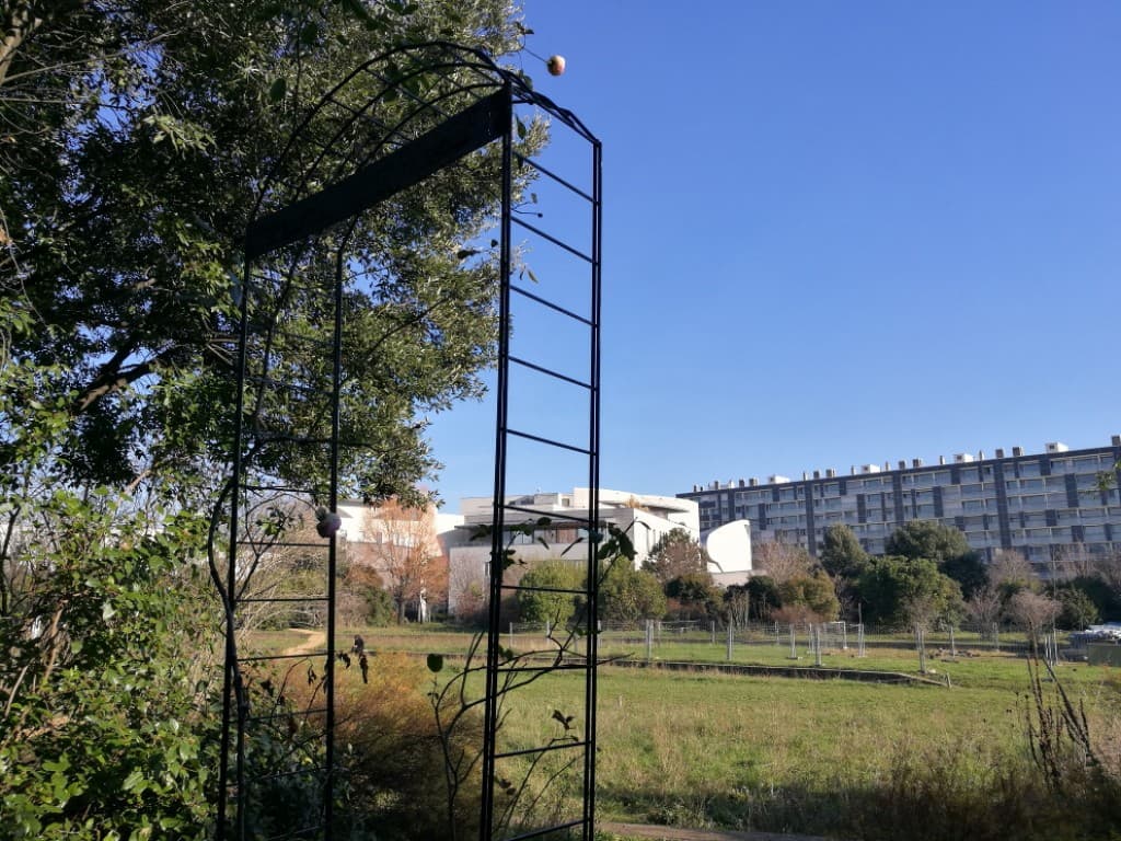 Grand ciel bleu pour la fête des lumières