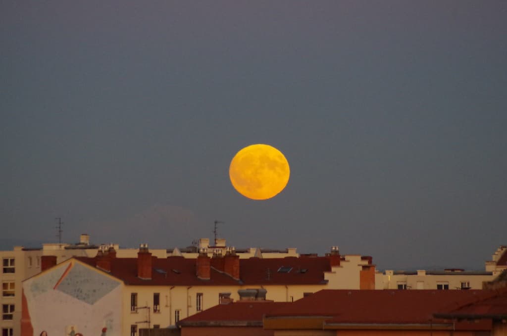 Lever Lune