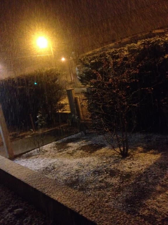 neige 