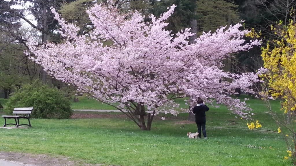 Parc de  Parilly 