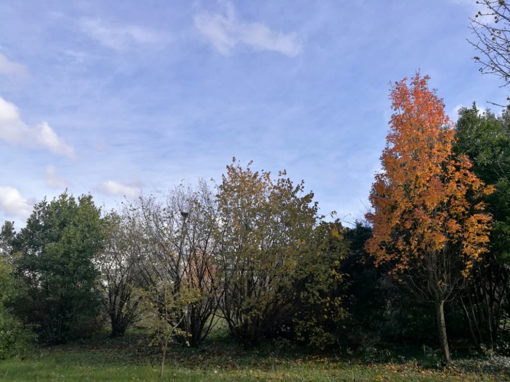 Retour du soleil ce vendredi après-midi