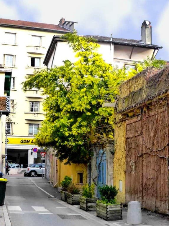 rue des lilas