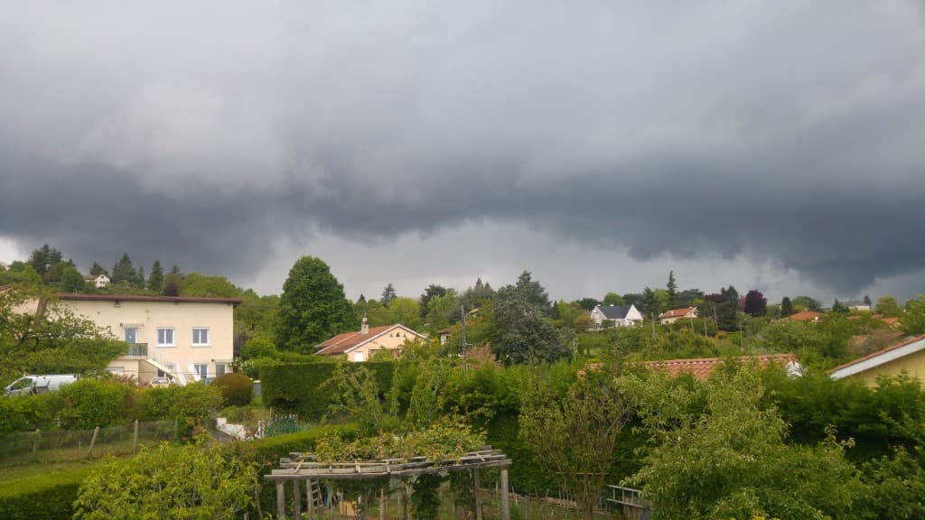 Arcus