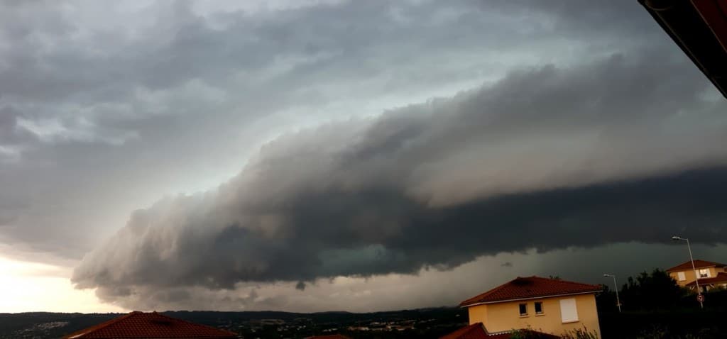 Arcus