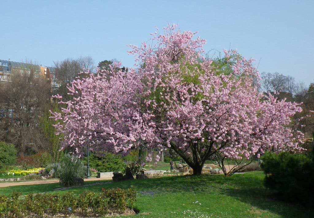 Le printemps est arrivé !
