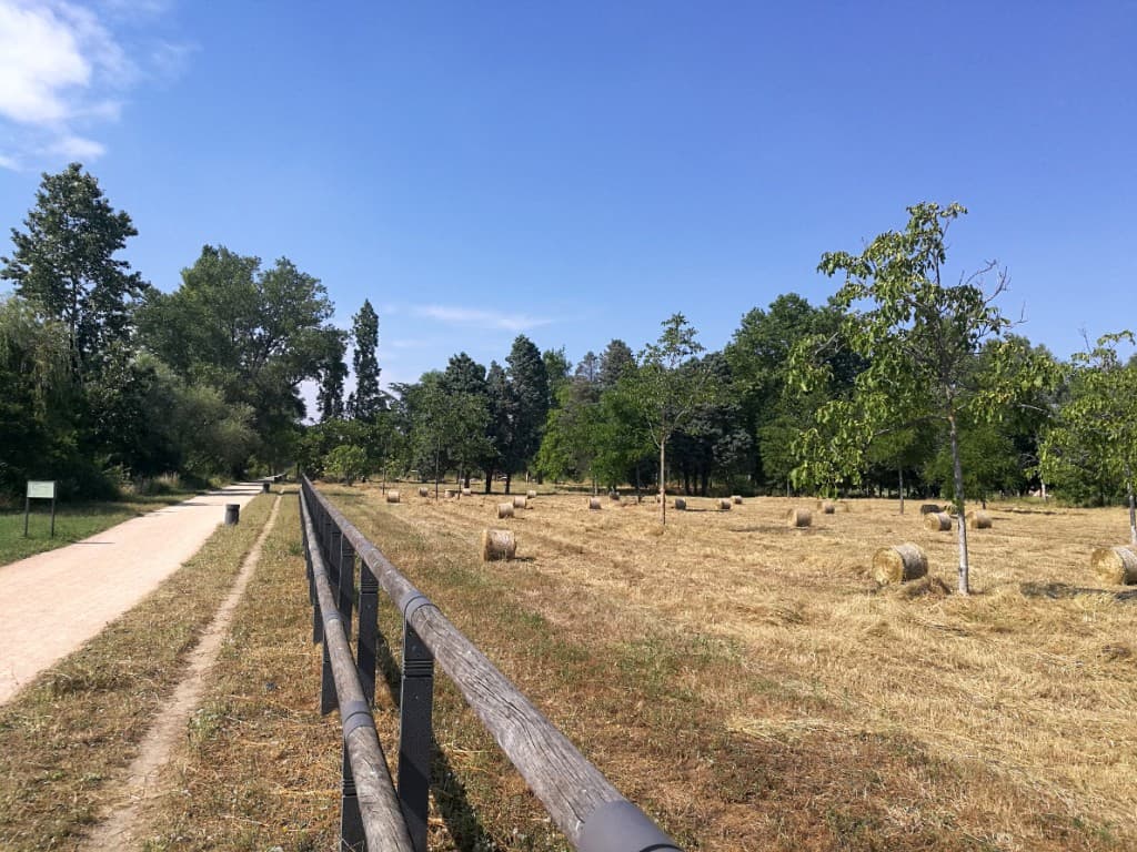 Les foins au parc des berges sud à Gerland