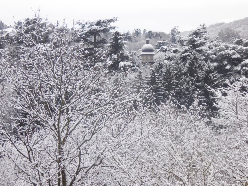 Neige matinale