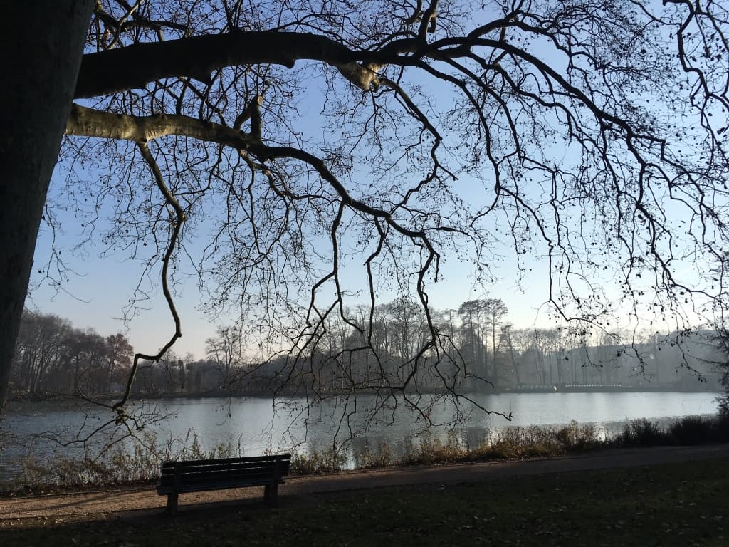 Parc de la  tÃªte  d'or  en automne 