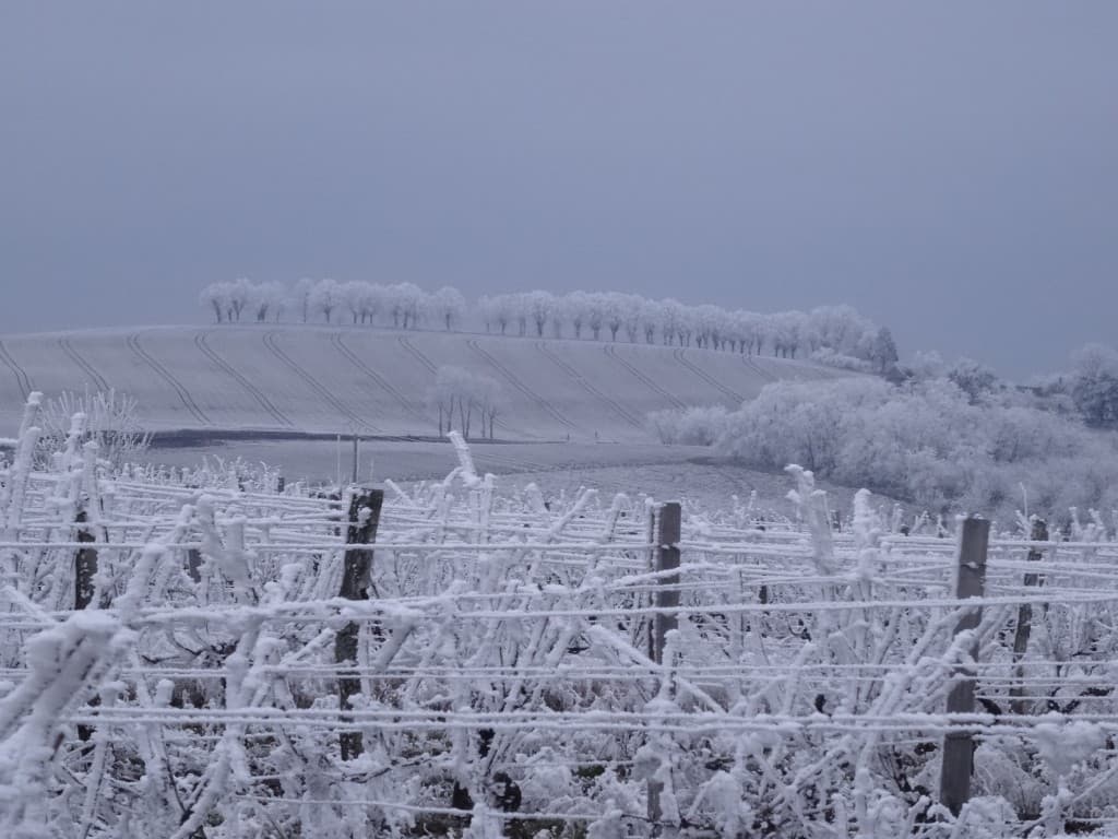 Sous le givre