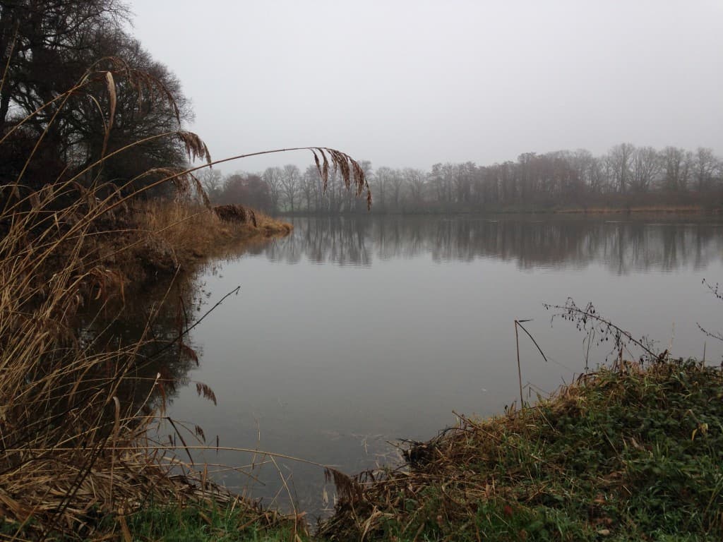Etang de La Dombes