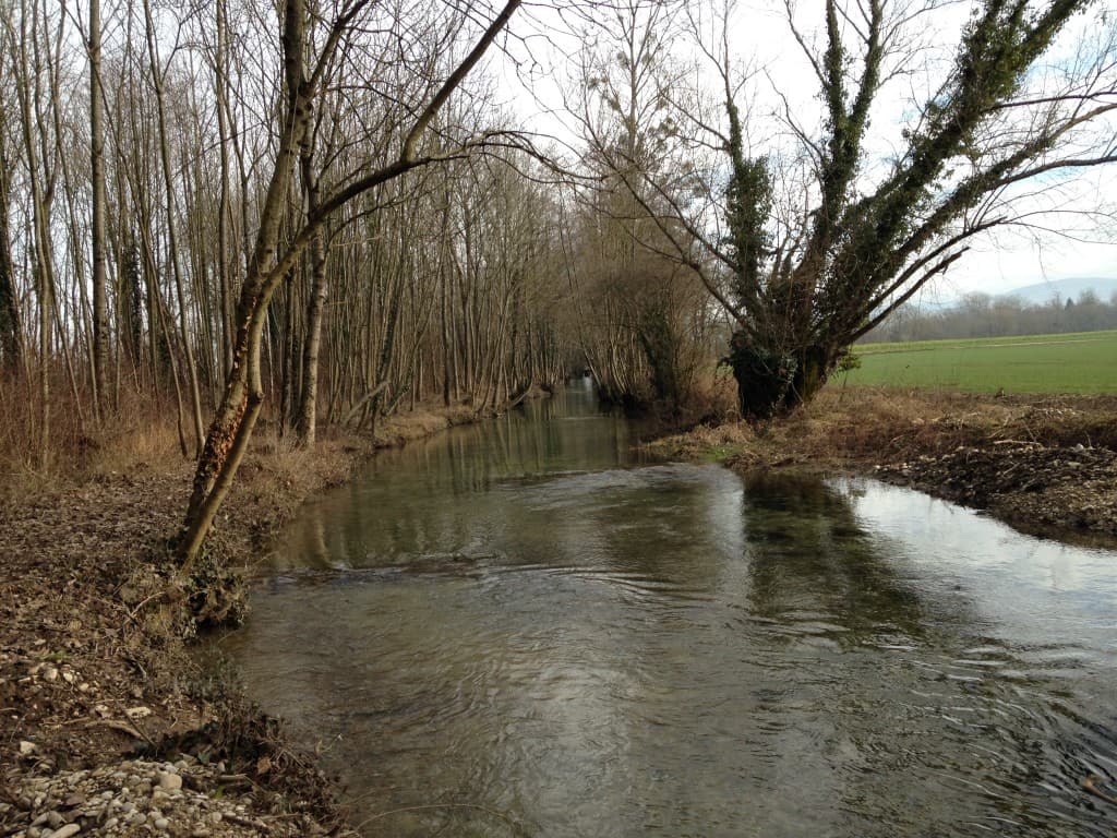Juste avant de grossir l'Ain, le Pollon