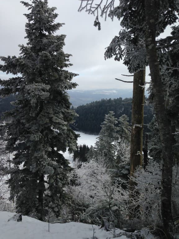 paysage d'hiver..
