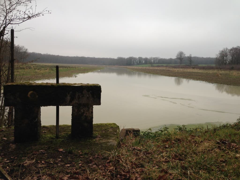Thou et étang le La Dombes