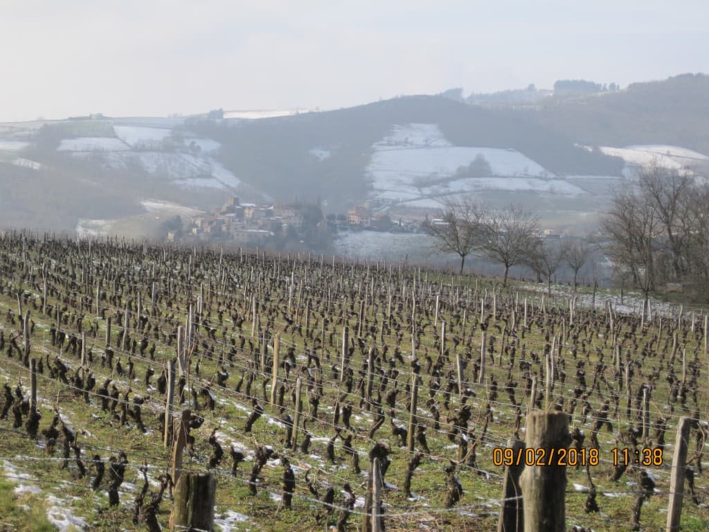 vers Sainte-Paule