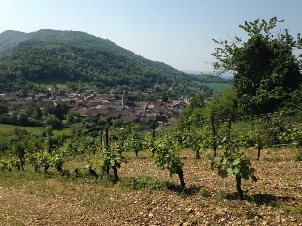 Vignes et village en Bugey