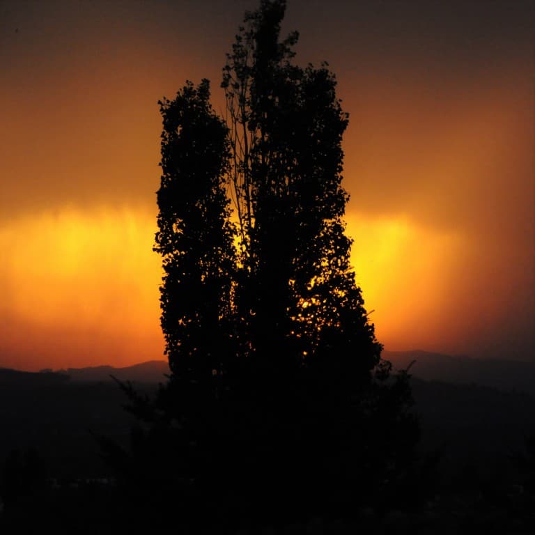 un coucher de soleil 