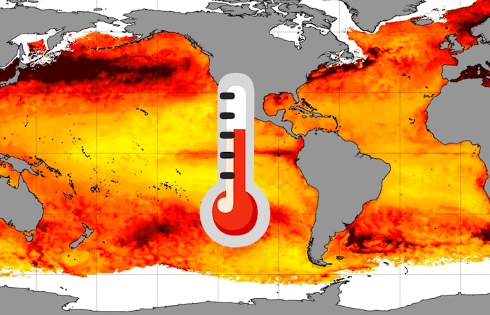 La température de la mer atteint des records sur l'ensemble de la planète !