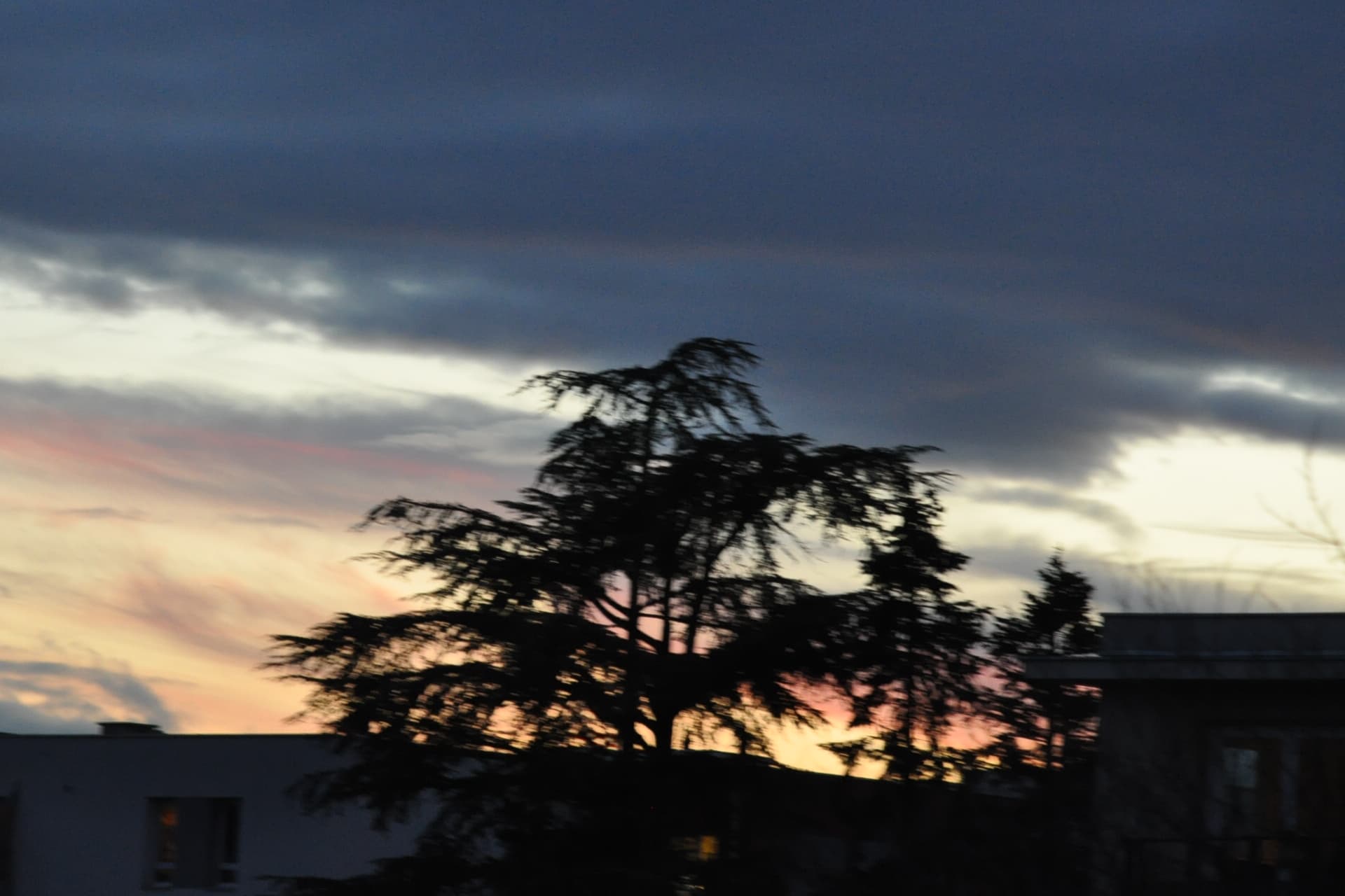 un contrejour !