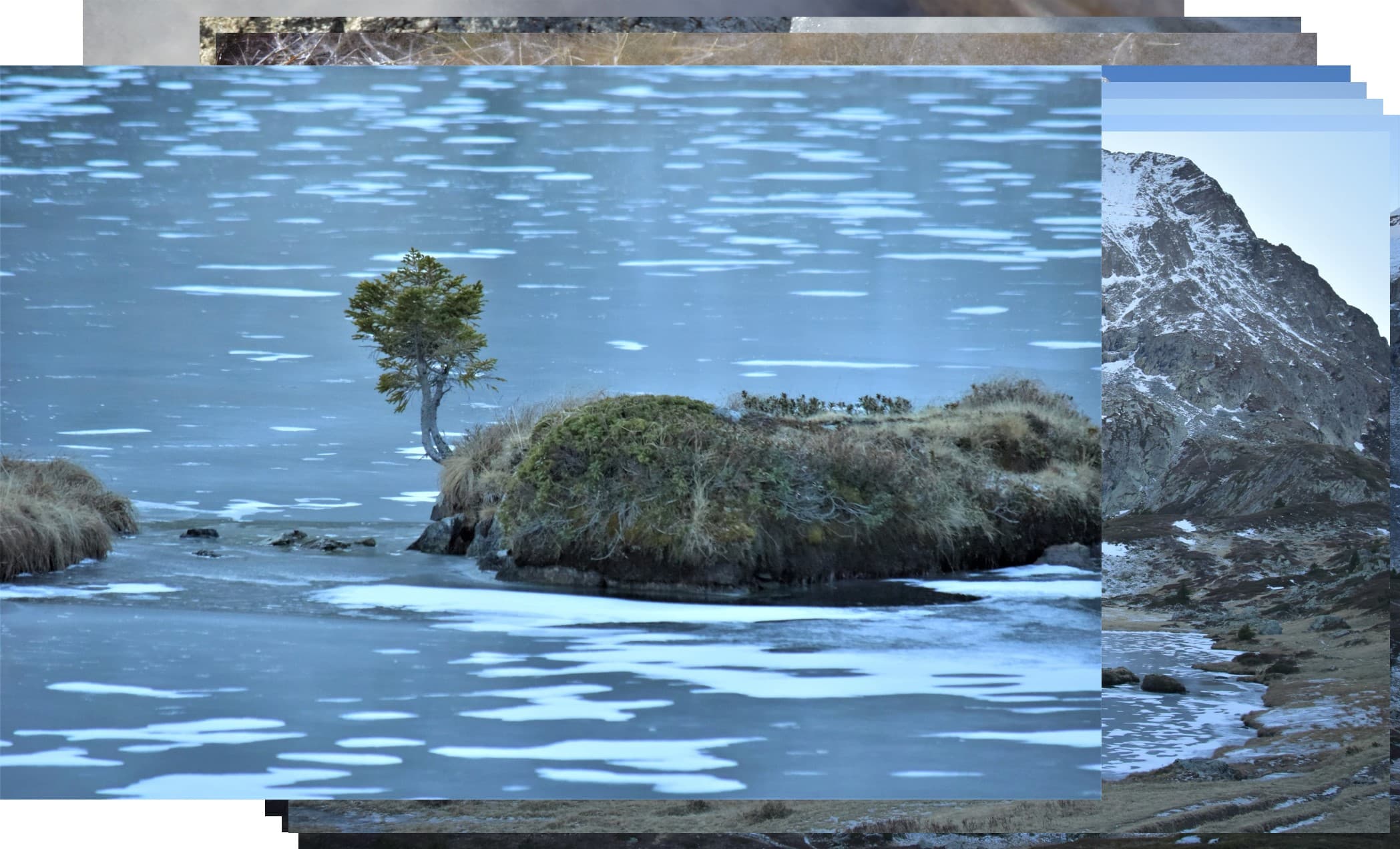 Solitude au Lac de l'Agneau