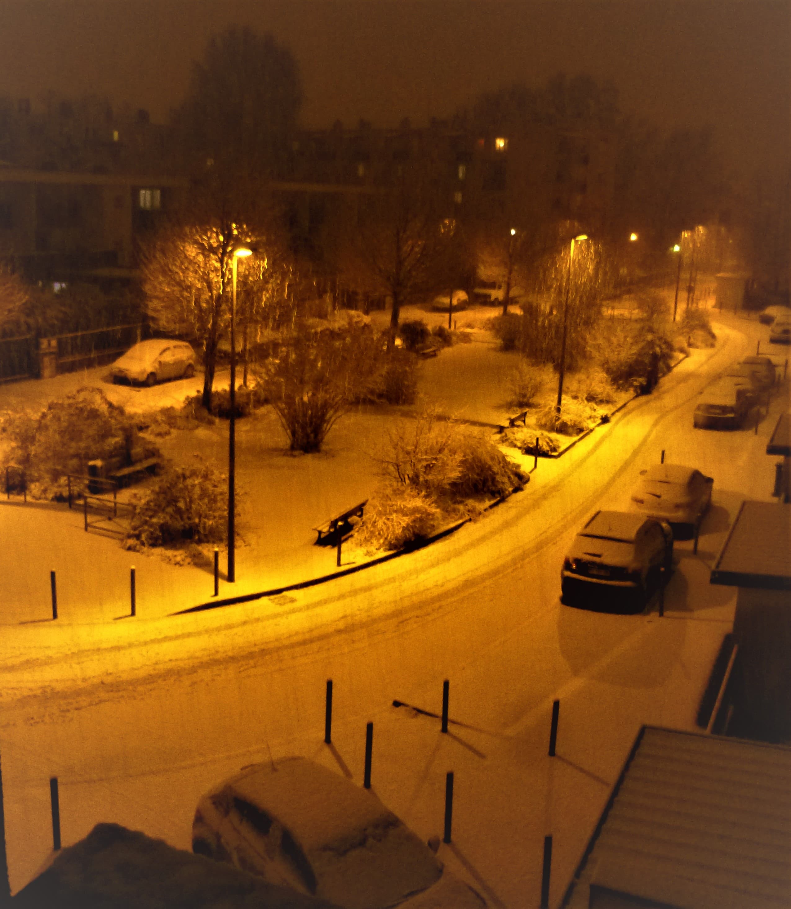 1ère neige plaine à 217m