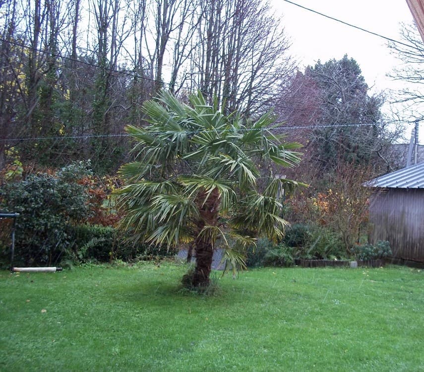 Grosse averse de neige sur Bourville