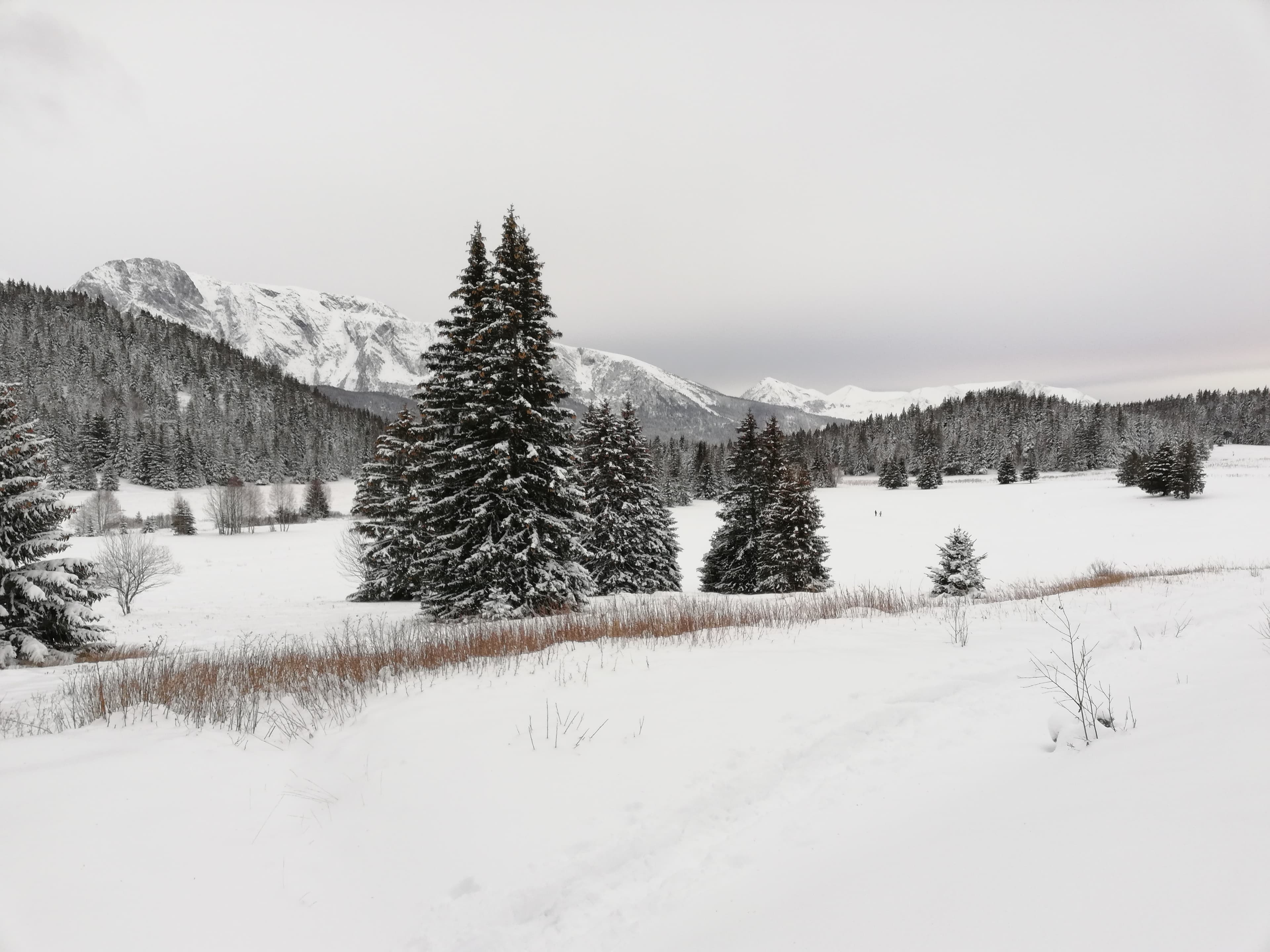 Un tableau de Maître Hiver