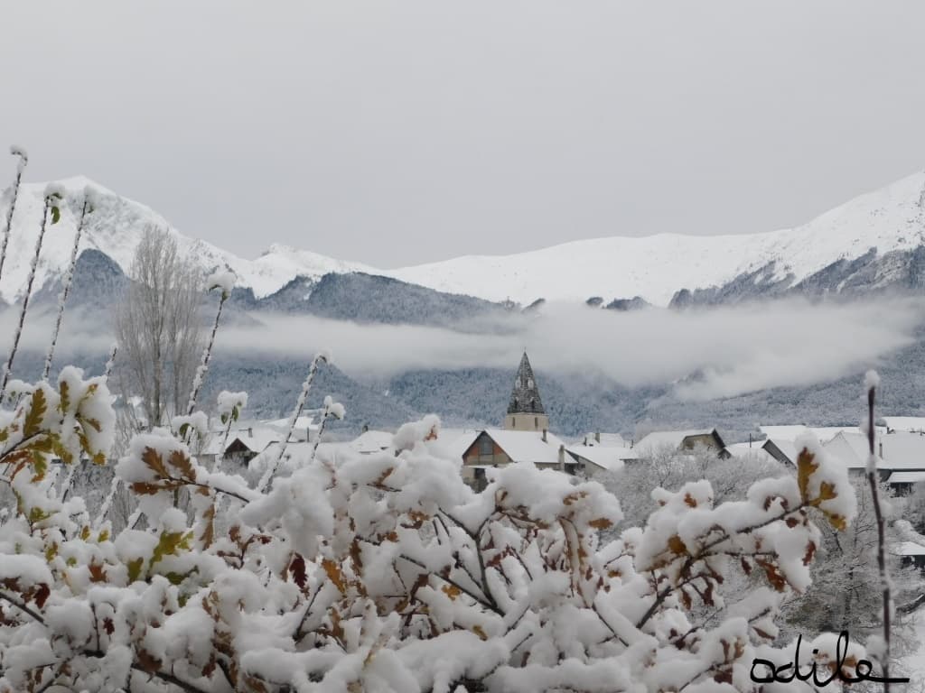Prébois en habit de Noël