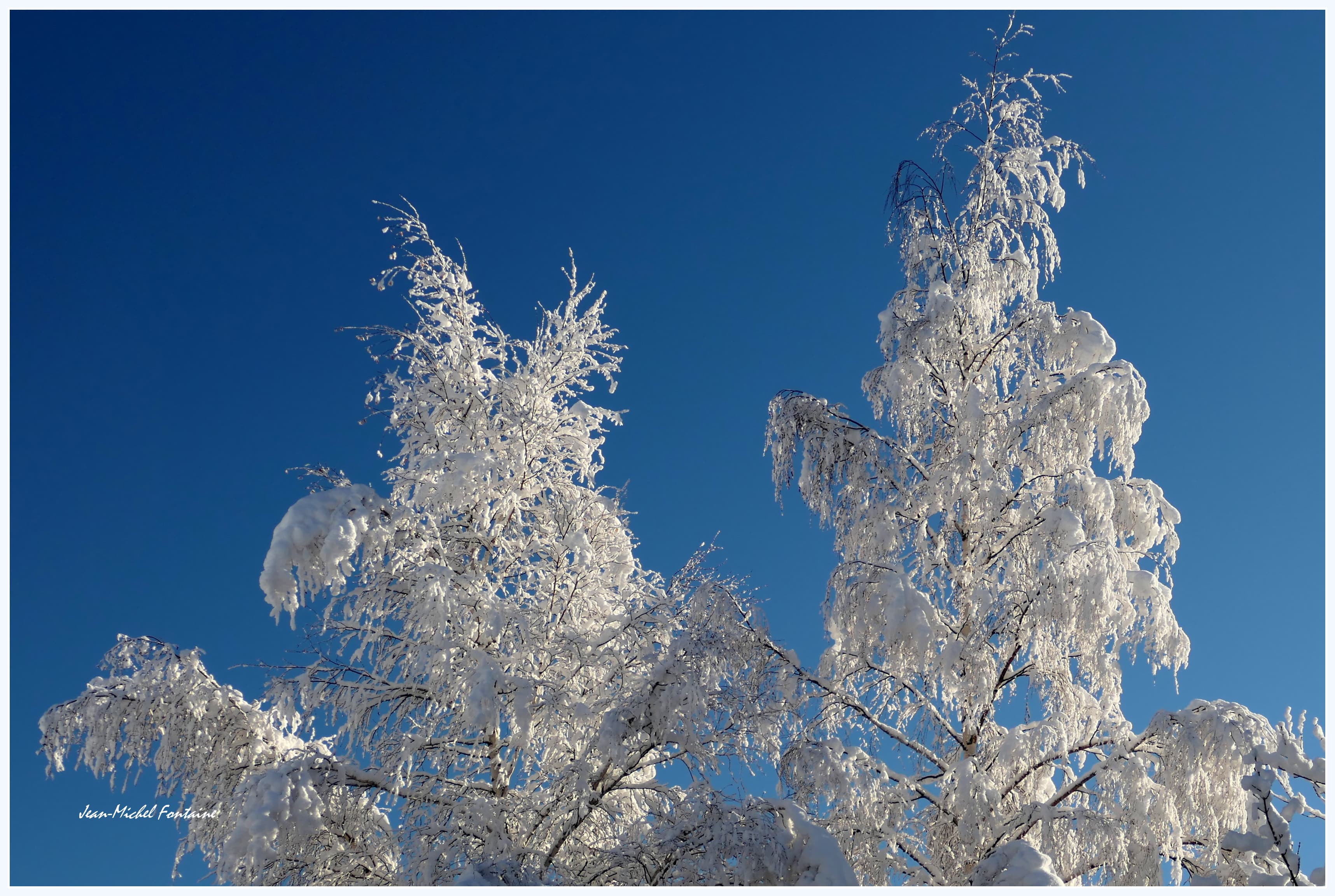 Froid -7°C