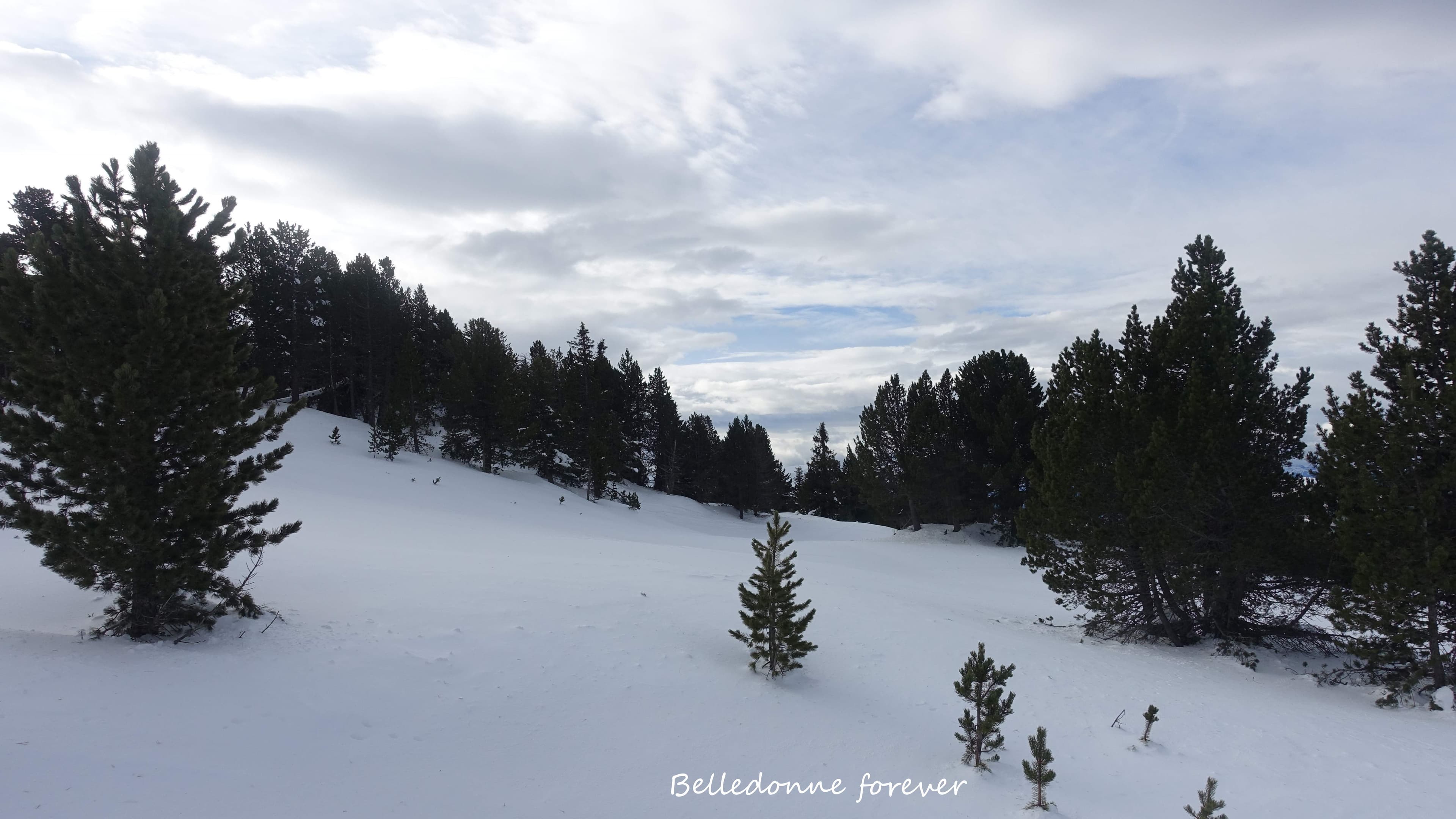 Sur une piste, la nature reprend sa place A.P.