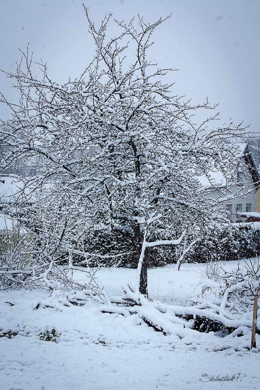 Bel couche de neige