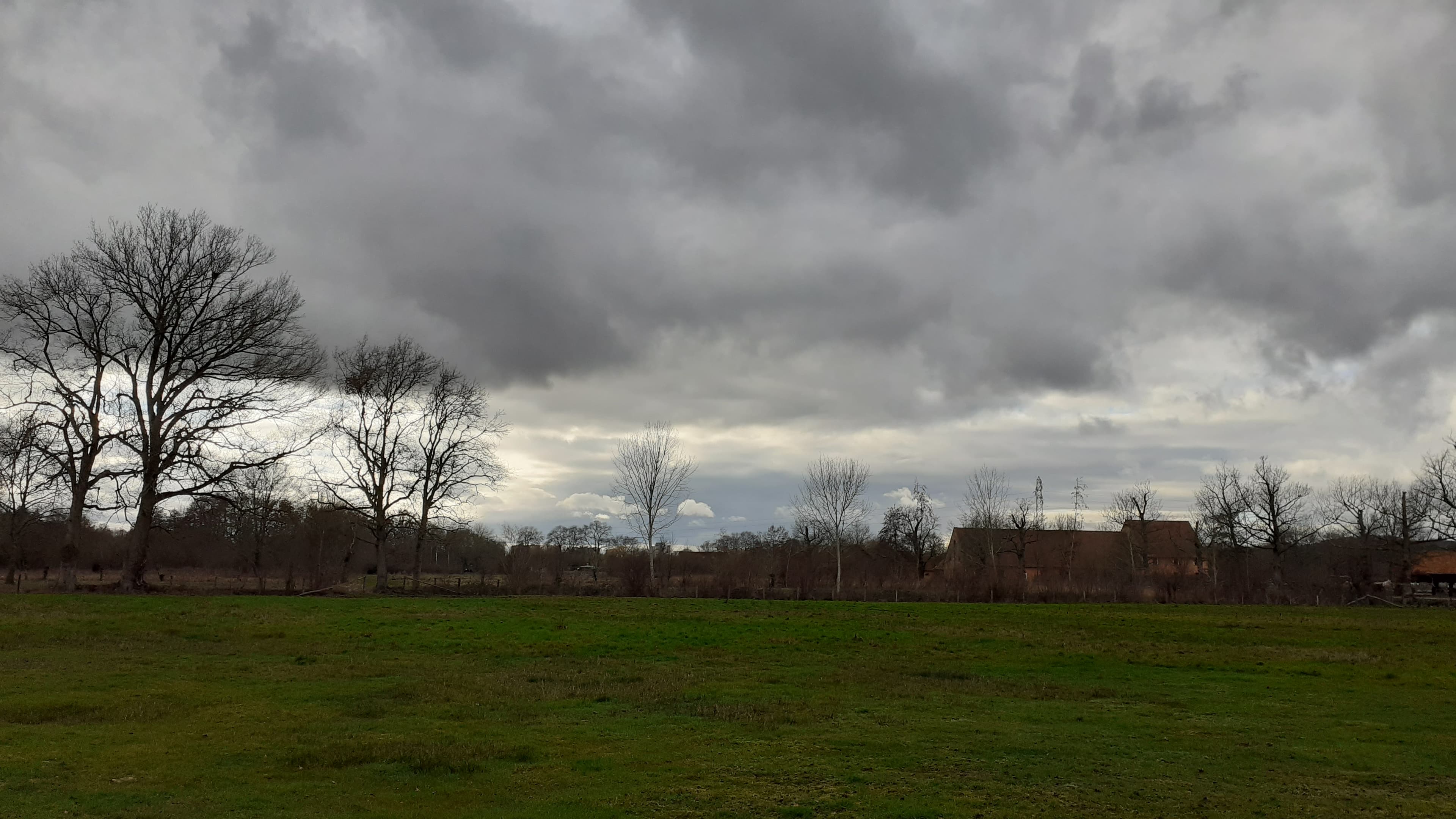 Ciel couvert dans la prairie