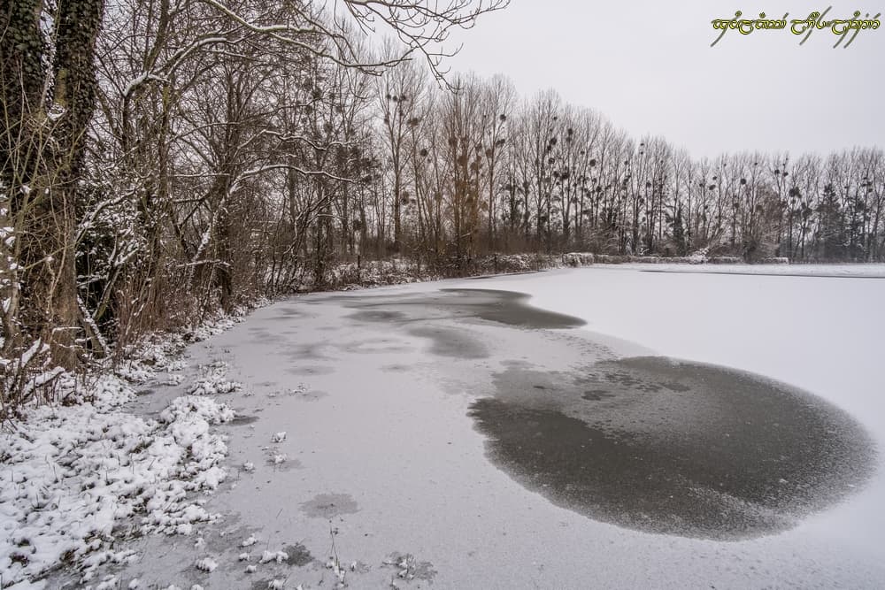 La neige sur la glace